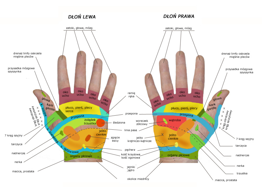 receptory na dłoniach